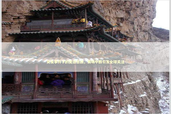 突发事件下的奥运首战，赛场中断引发全球关注