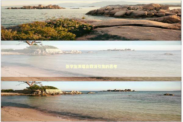 张学友演唱会取消引发的思考