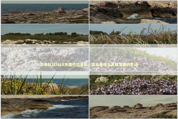 日本队以5比0大胜巴拉圭队，实力展现与足球发展的见证