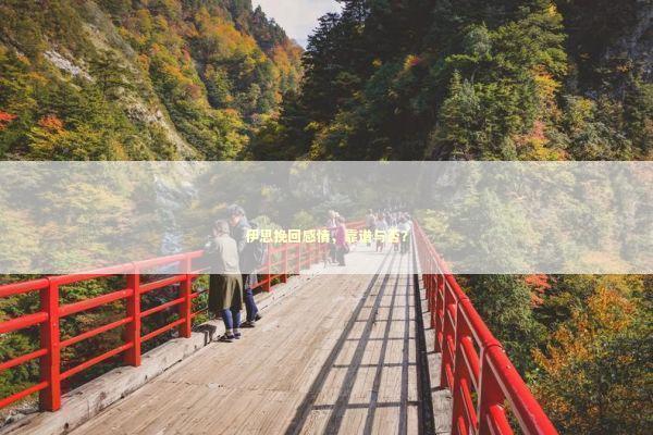 伊思挽回感情，靠谱与否？