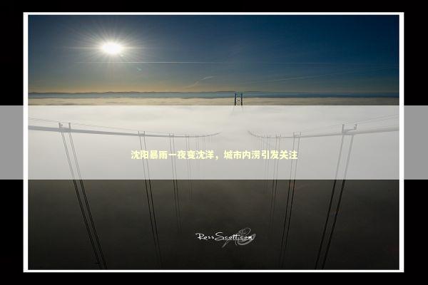 沈阳暴雨一夜变沈洋，城市内涝引发关注