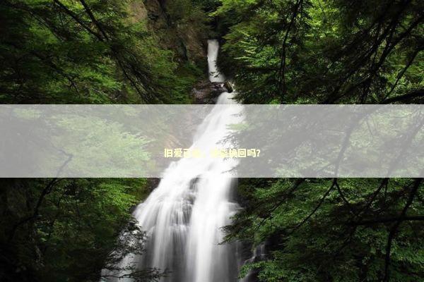 旧爱已逝，还能挽回吗？