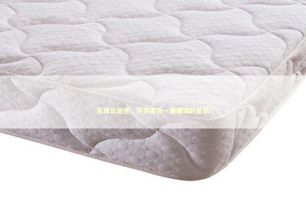 乐黛云逝世，学界痛失一颗璀璨的星辰