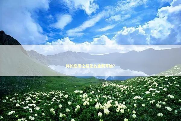 你的恋爱之路怎么重新开始？