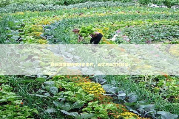 辟谣济南车辆被冲走事件，真实与谣言的较量