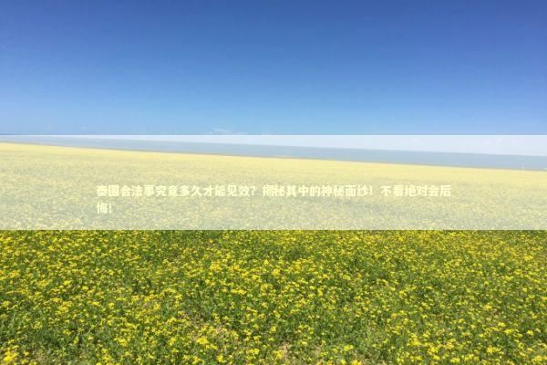 泰国合法事究竟多久才能见效？揭秘其中的神秘面纱！不看绝对会后悔！