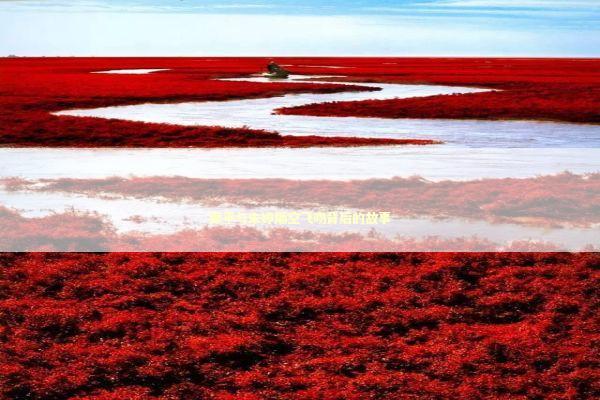 郎平与朱婷隔空飞吻背后的故事