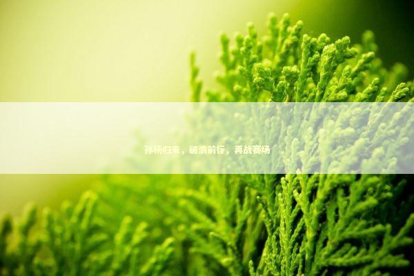 孙杨归来，破浪前行，再战赛场