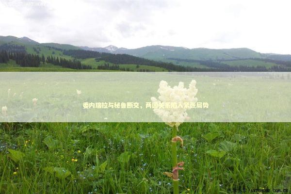 委内瑞拉与秘鲁断交，两国关系陷入紧张局势