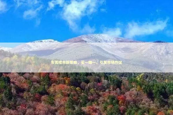 东莞楼市新策略，买一赠一，引发市场热议