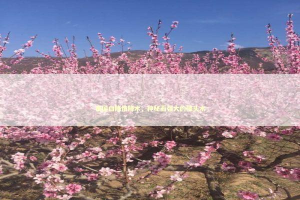 泰国血降情降术，神秘而强大的降头术