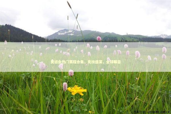 奥运会热门赛程合集，竞技盛宴，全球瞩目