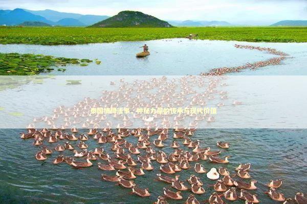 泰国情降法事，神秘力量的传承与现代价值