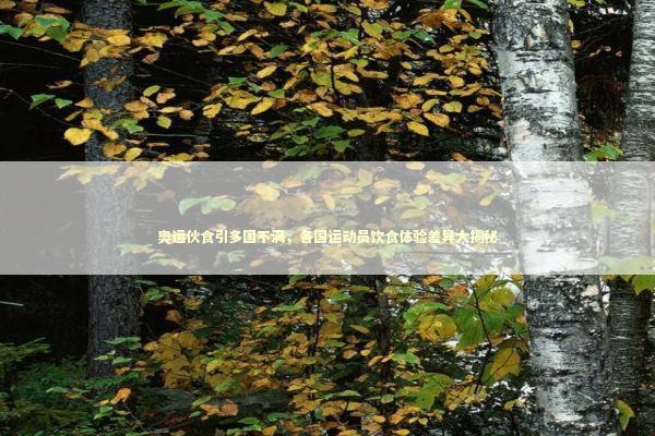 奥运伙食引多国不满，各国运动员饮食体验差异大揭秘