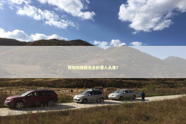 你如何挽回失去的爱人头像？