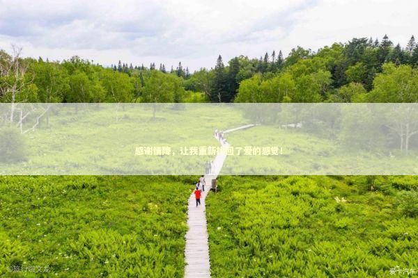 感谢情降，让我重新找回了爱的感觉！