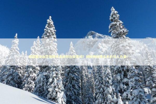 泰国墓地血咒情降术真的存在效果吗？揭秘神秘降头术的惊人力量！